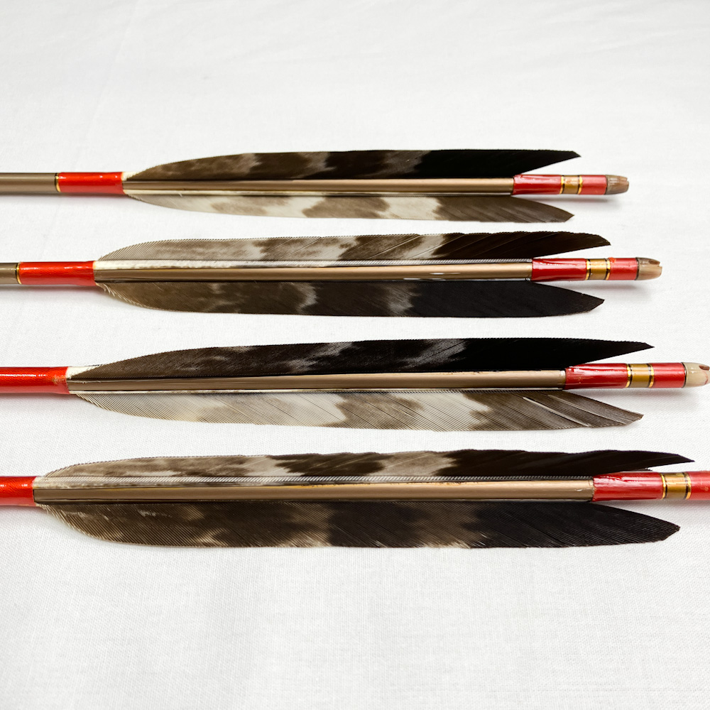 EASTON 1913  XX75  弓道　矢 EASTON 1913 XX75 矢 4本セット 約92cm 弓道（○弓道 ジュラ矢 4