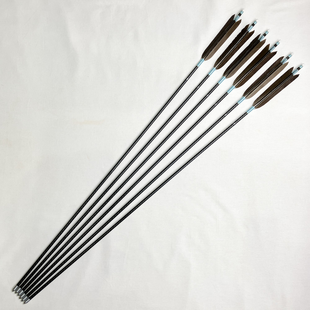 カーボン矢 6本組 97.0cm 22.5g Mizuno WENEW 7518 | 古弓具 二月堂