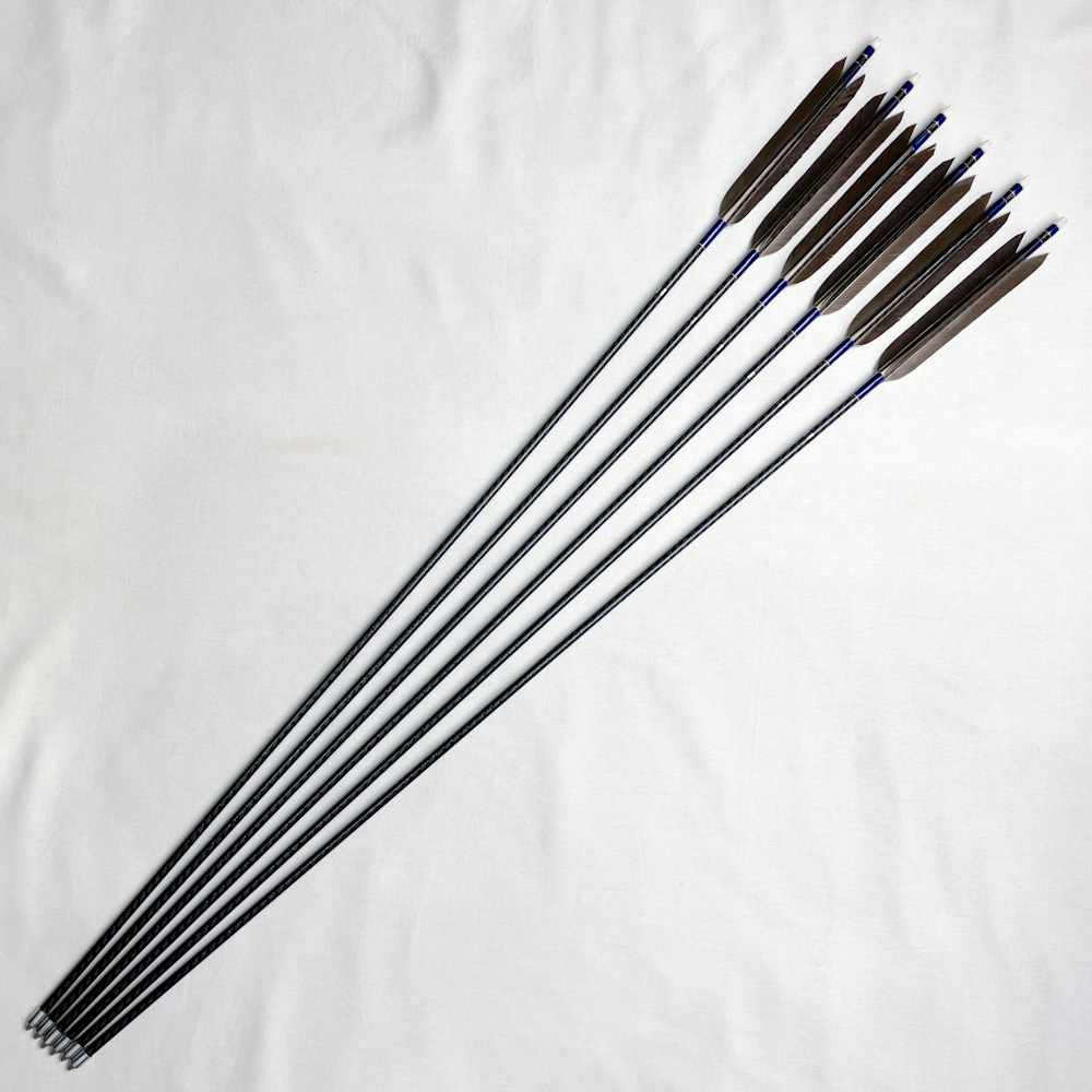 カーボン矢 6本組 97.9cm 22.5g Mizuno WENEW 7518