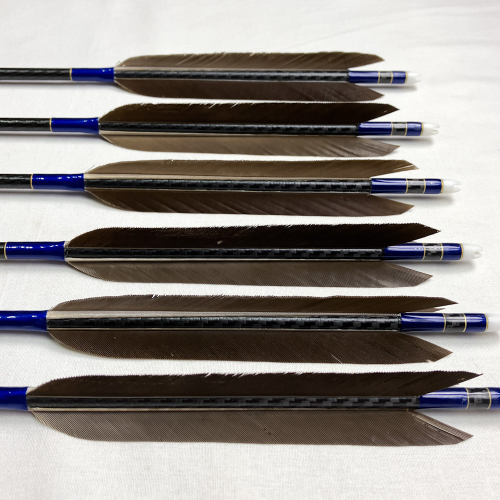 カーボン矢 6本組 97.9cm 22.5g Mizuno WENEW 7518