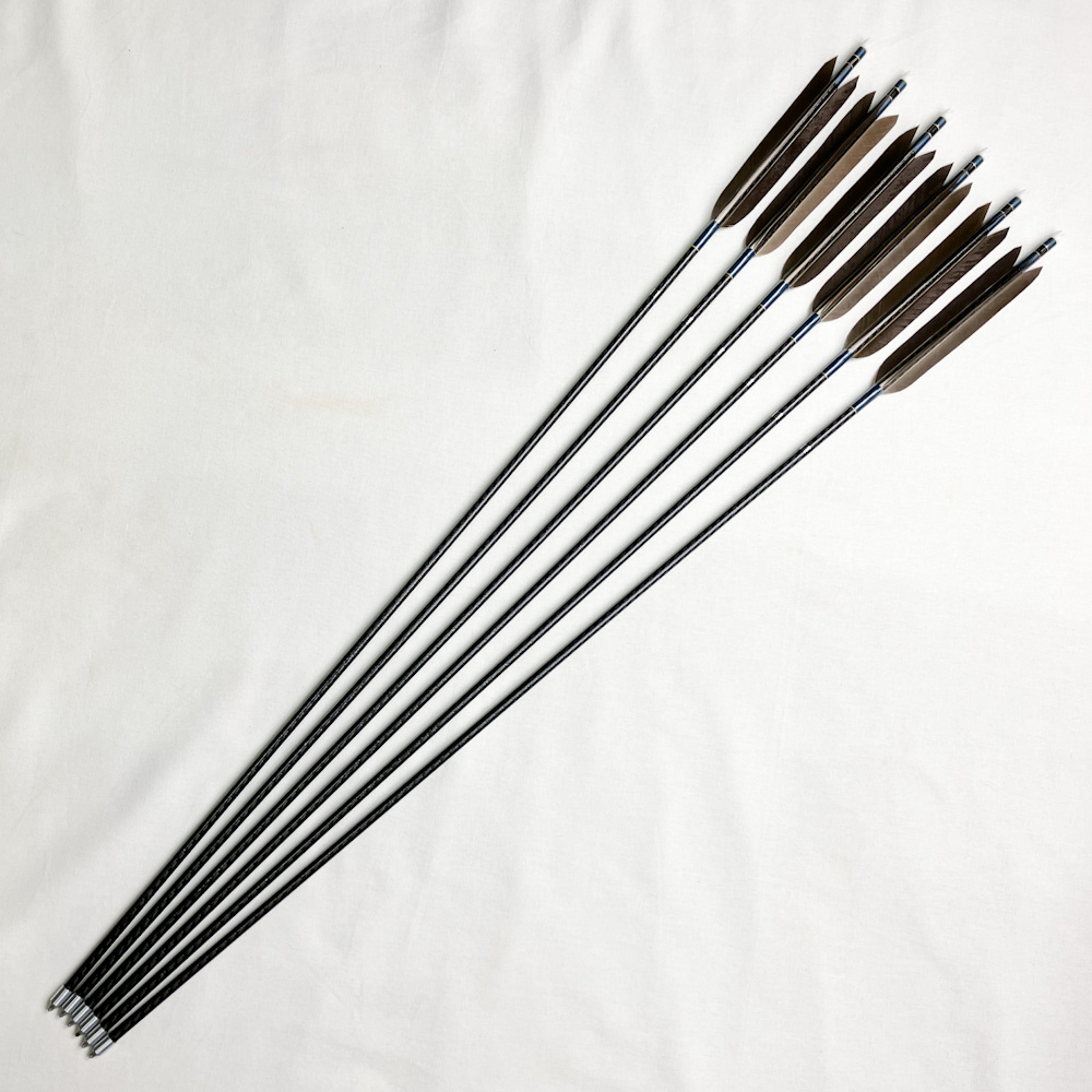 カーボン矢 6本組 91.0cm 21.5g Mizuno WENEW 7518