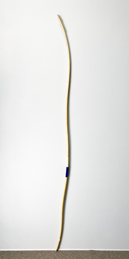 二寸伸　15.6kg　柴田勘十郎　前白竹弓