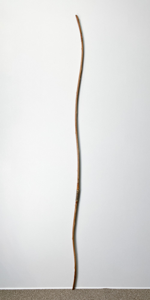 並寸　15.8kg　◯村◯◯八　前白竹弓　ニベ