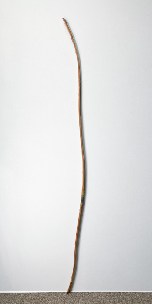 並寸　16.0kg　永野重次　前焦竹弓　ニベ